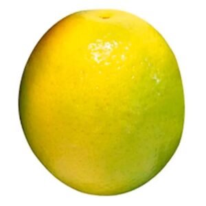 Laranja Pera Unidade – Hortifruti do Rei